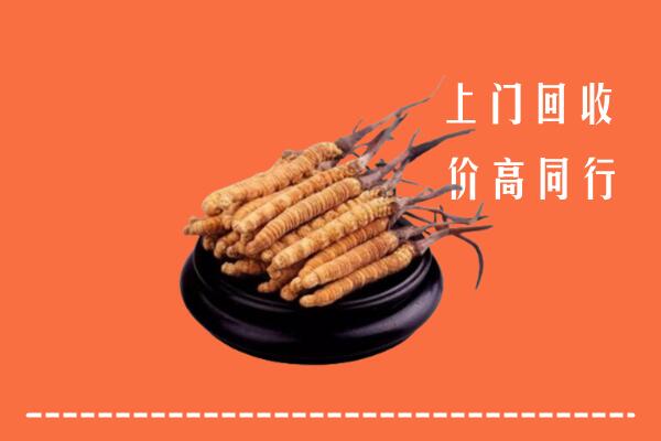高价求购：镇江句容回收散虫草
