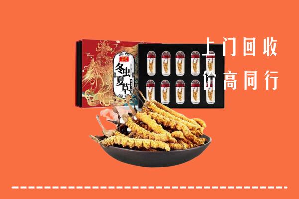 镇江句容回收虫草